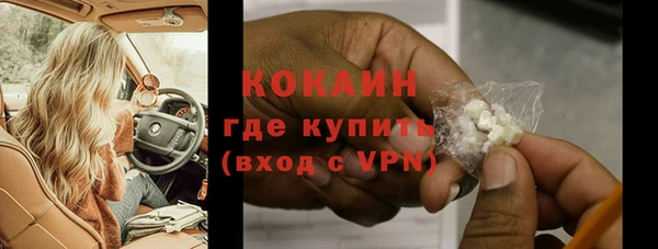 прущий лед Вяземский