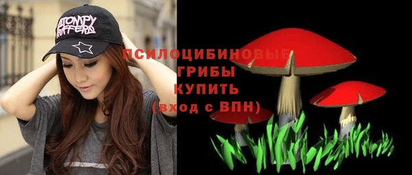 прущий лед Вяземский