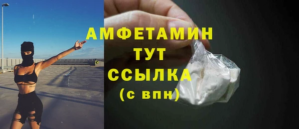 прущий лед Вяземский