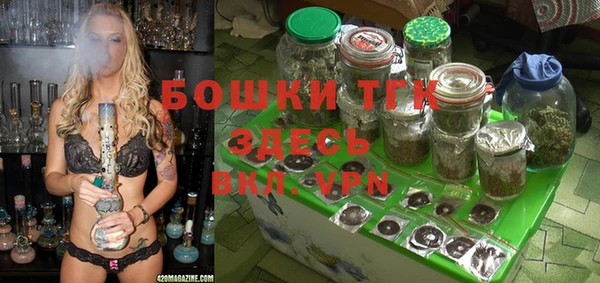 прущий лед Вяземский