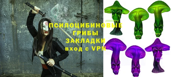 прущий лед Вяземский