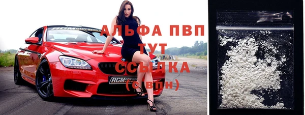 прущий лед Вяземский
