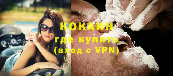 прущий лед Вяземский