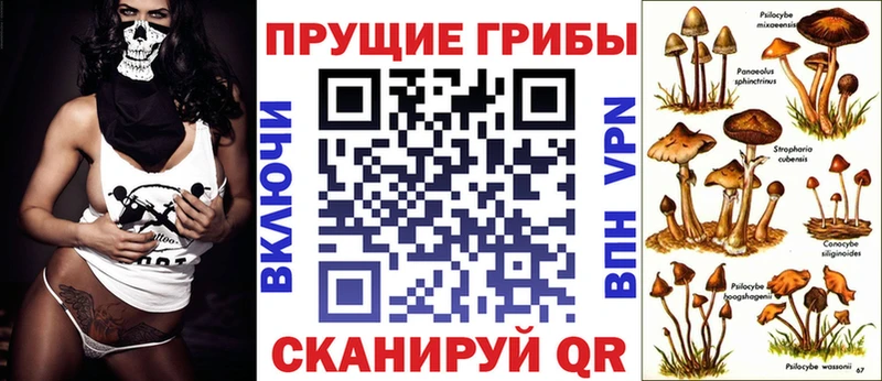 Псилоцибиновые грибы Magic Shrooms  Динская 